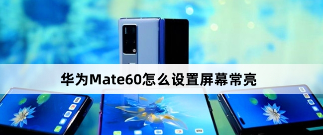 ΪMate60Ļô